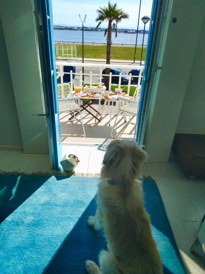 M Costa Nova Villa Dış mekan fotoğraf