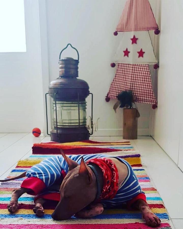 M Costa Nova Villa Dış mekan fotoğraf